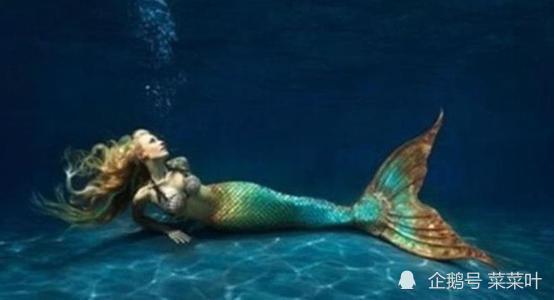 嗜血人鱼,深海传说中的神秘生物