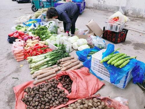 一夕一朝一饭,一日一餐，品味生活点滴