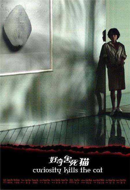 好奇害死猫,揭秘“好奇害死猫”背后的故事